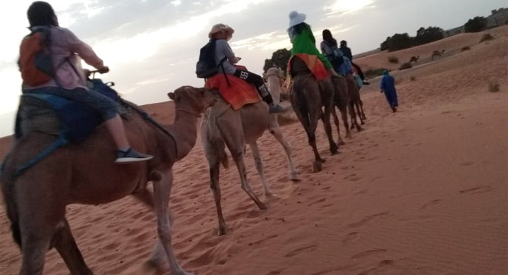 Erg Chebbi camel ride