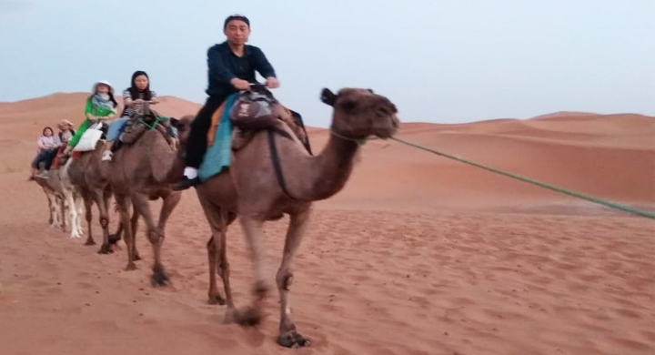 Merzouga camel trekking
