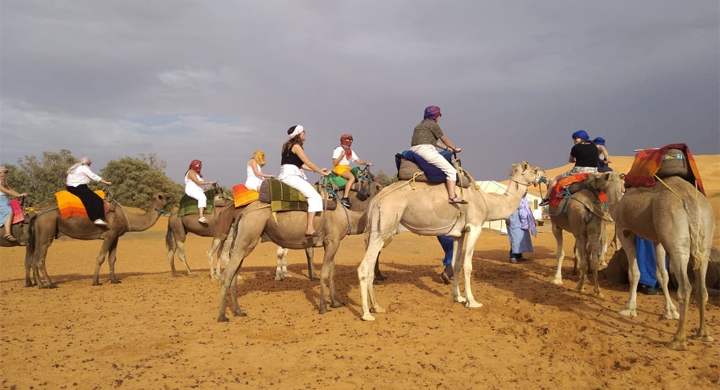 camel excursions erg chebbi