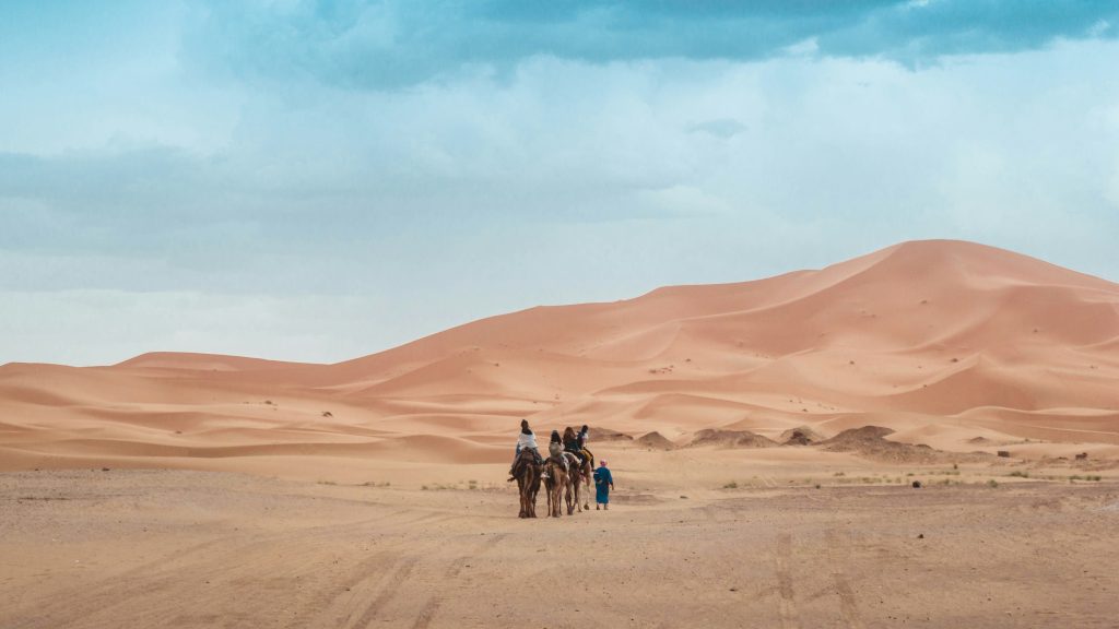 Camel Riding for 1 Night in Merzouga Desert