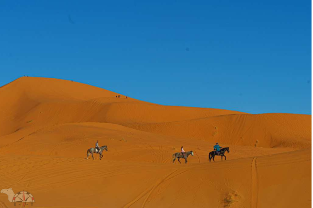 Horse Ride in Merzouga