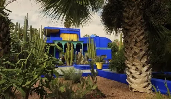 3. Discover the Majorelle Garden and Yves Saint Laurent Museum