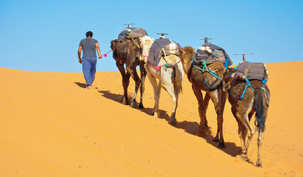 10 Day Tour to Casablanca to desert sahara