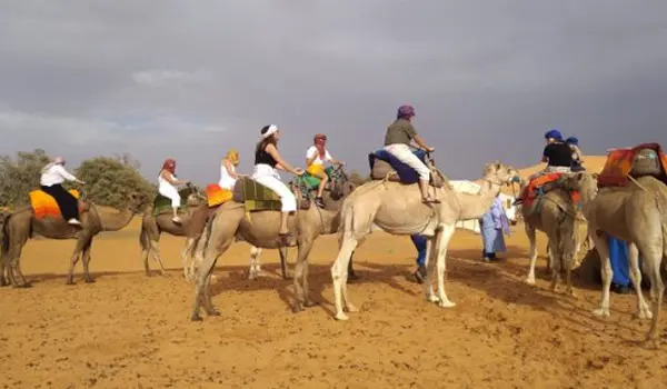 2 Nights Camel Trekking in Merzouga