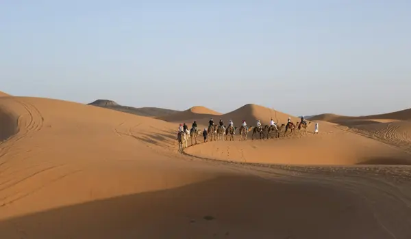 Sunrise Camel Riding Tour in Merzouga