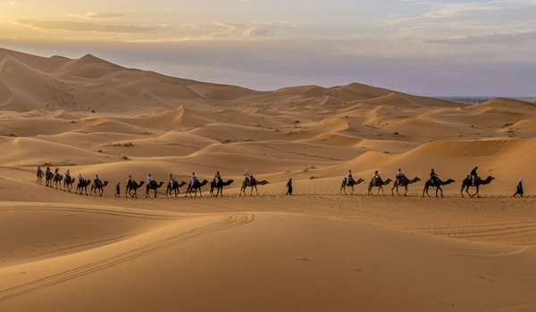 Sunset Camel Riding Tour in Merzouga