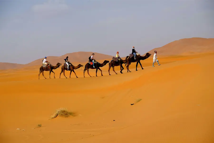 The Magic of the Sahara Desert