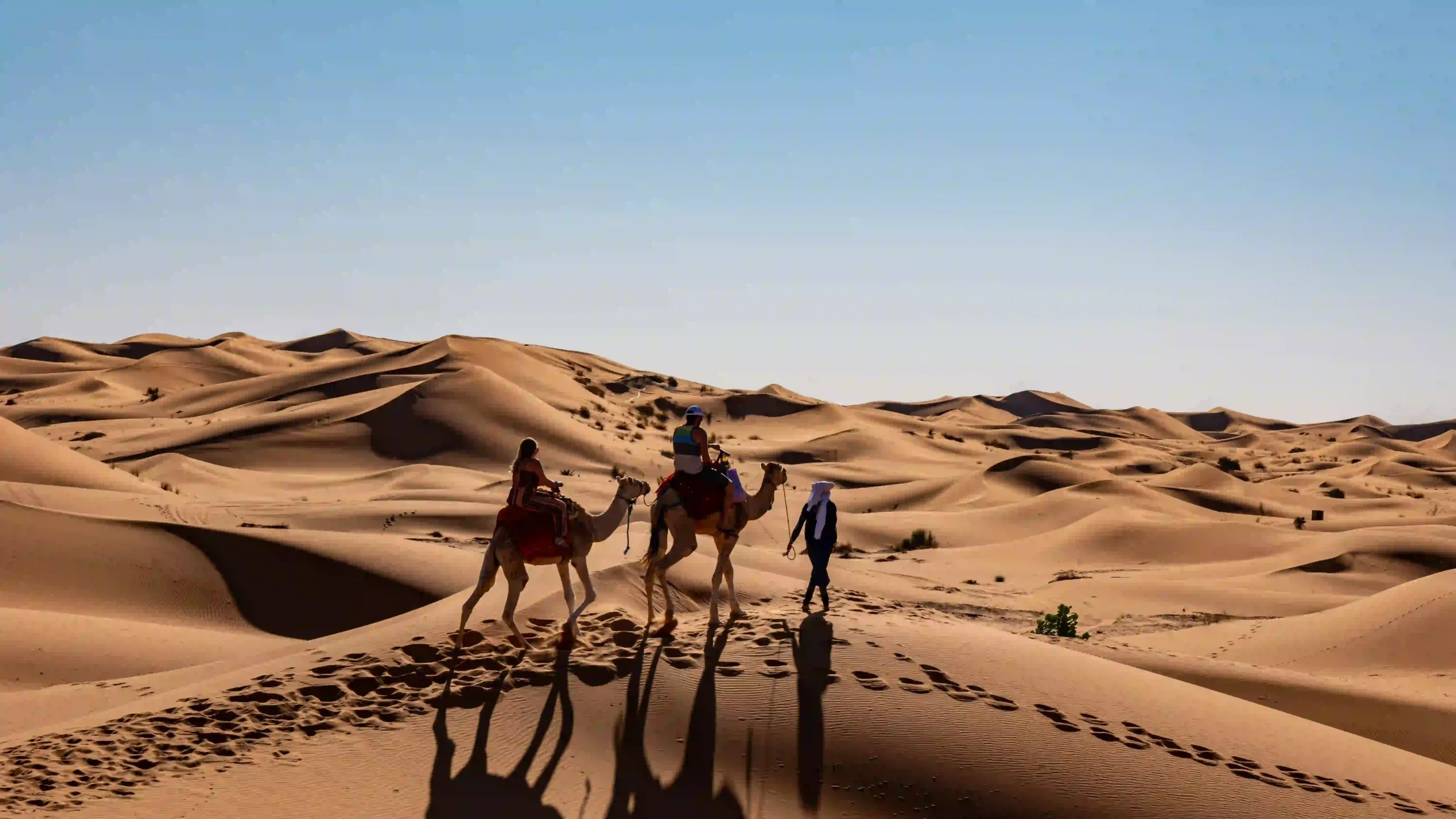 Best Morocco Tours for First-Time Visitors (Complete Guide )
